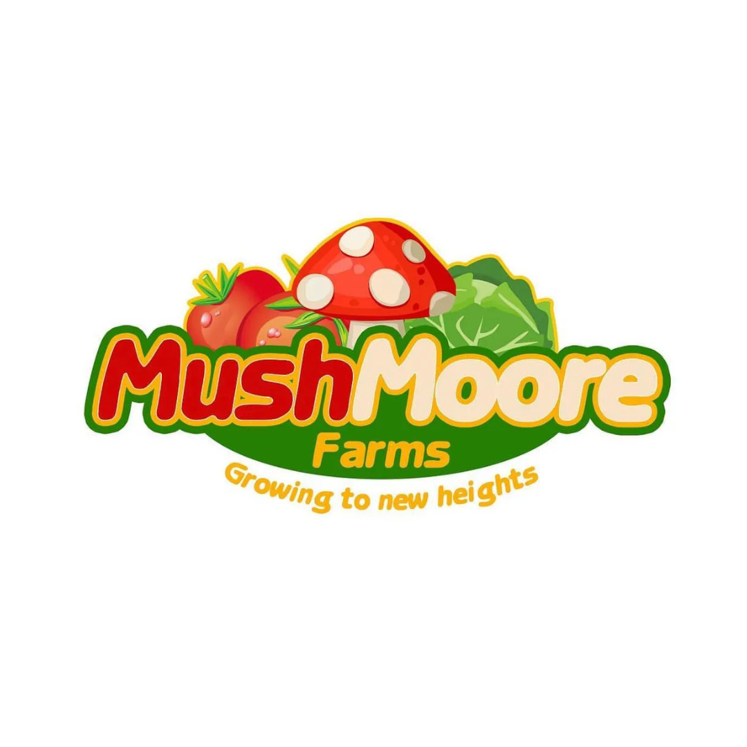 San Antonio Logo Designer